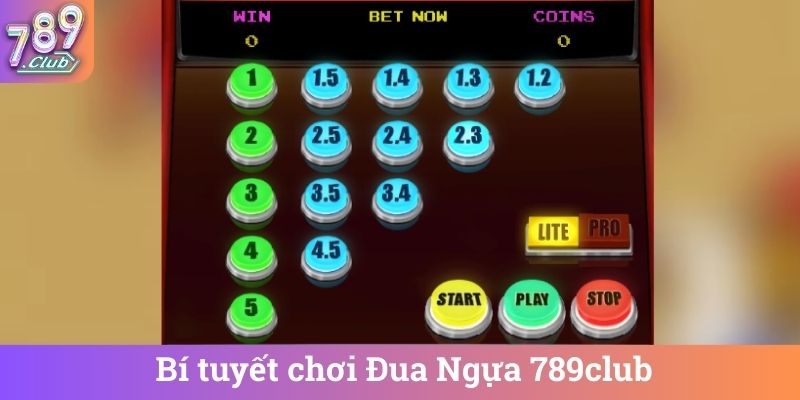 Bí tuyết chơi Đua Ngựa 789club