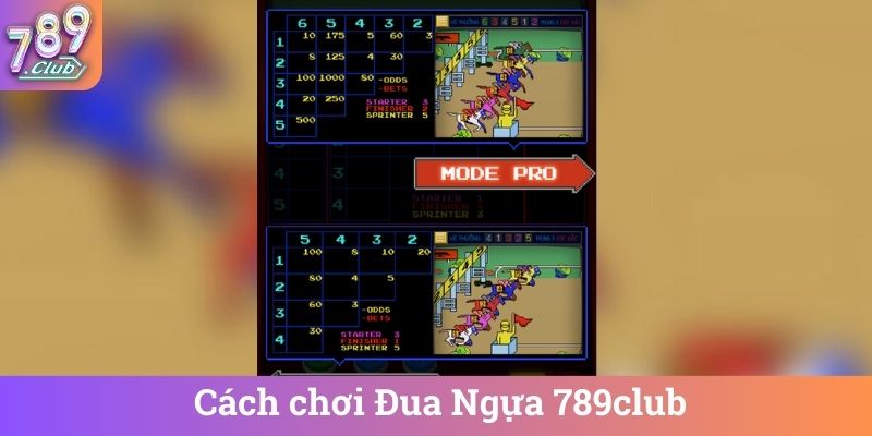 Cách chơi Đua Ngựa 789club